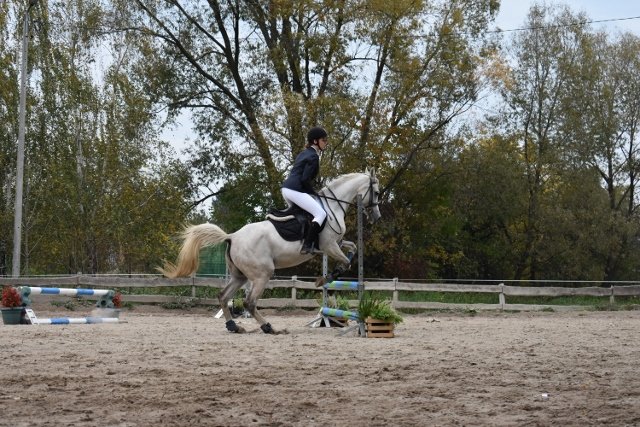bABIE lATO 2018
